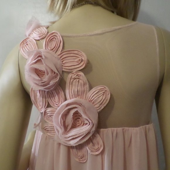 Stunning Pedal Pink Dress Raised Pink Roses on top - Picture 1 of 5